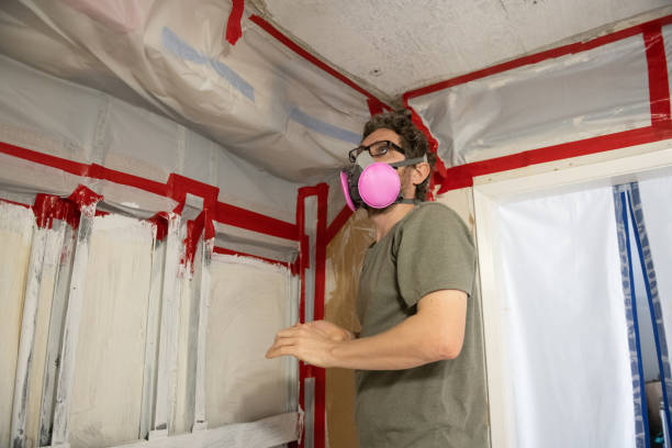 Mold Remediation for Rental Properties in Kenneth City, FL