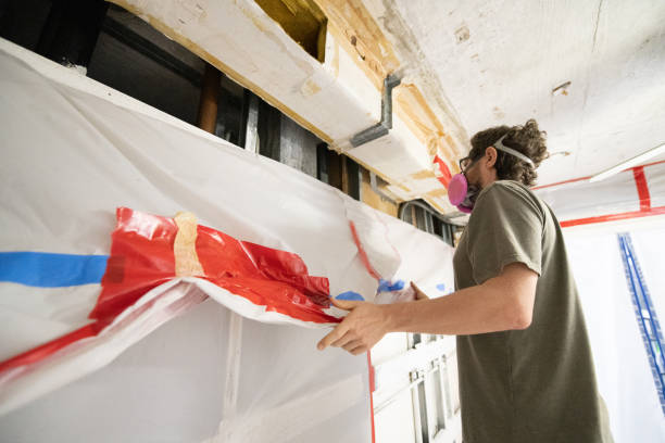 Reliable Kenneth City, FL Mold Removal Solutions